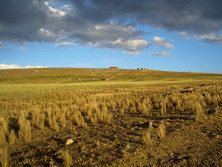 Sdamerika, Peru: Hochandenlandschaft